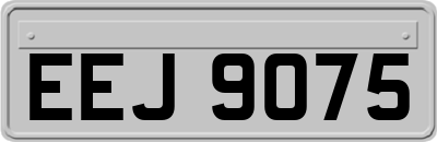 EEJ9075