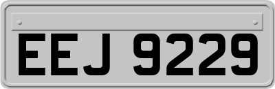 EEJ9229