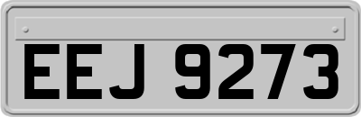 EEJ9273