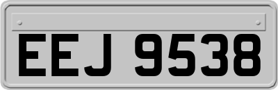 EEJ9538