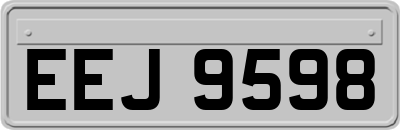 EEJ9598