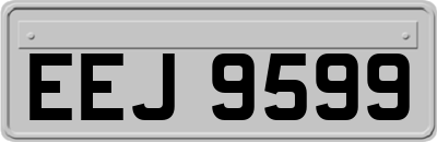 EEJ9599