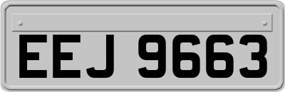 EEJ9663