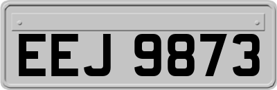 EEJ9873