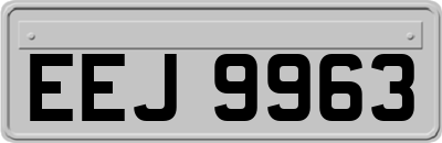 EEJ9963