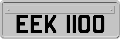 EEK1100