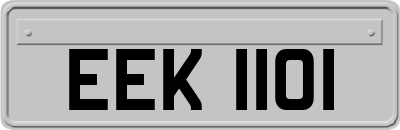 EEK1101