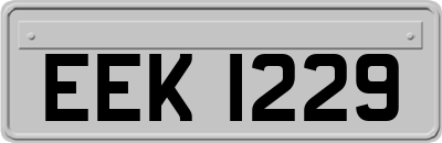 EEK1229