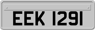 EEK1291