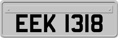 EEK1318