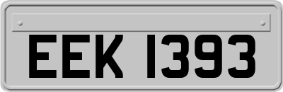 EEK1393
