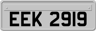 EEK2919