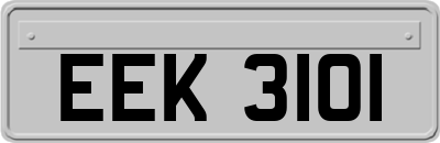 EEK3101