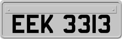 EEK3313