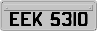 EEK5310