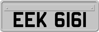 EEK6161
