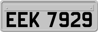 EEK7929