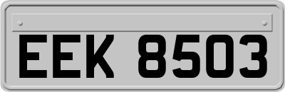 EEK8503