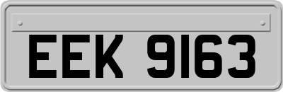 EEK9163