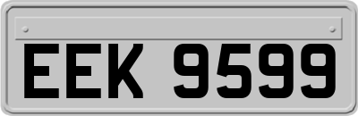 EEK9599