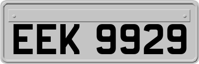 EEK9929