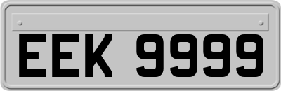 EEK9999
