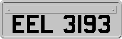 EEL3193