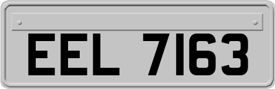 EEL7163