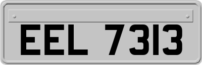 EEL7313