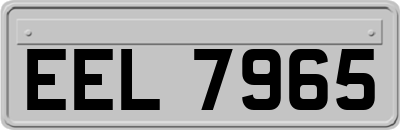 EEL7965