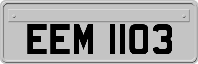 EEM1103