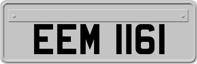 EEM1161
