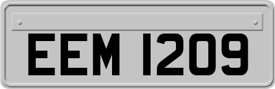EEM1209