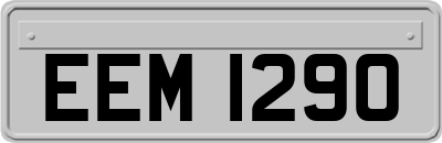 EEM1290