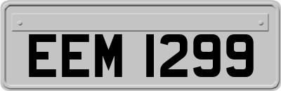 EEM1299