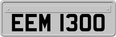 EEM1300