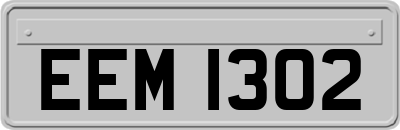 EEM1302