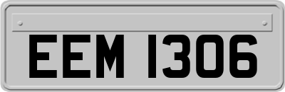 EEM1306