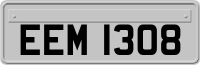 EEM1308