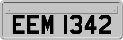 EEM1342