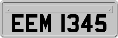EEM1345