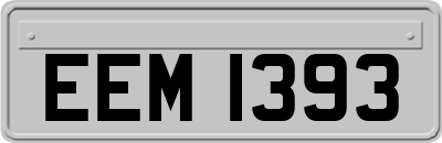 EEM1393