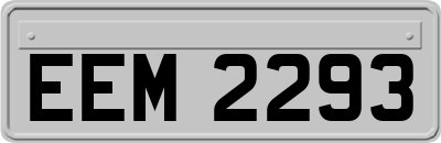 EEM2293
