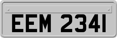 EEM2341