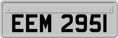 EEM2951