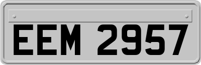EEM2957