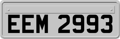 EEM2993