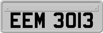 EEM3013