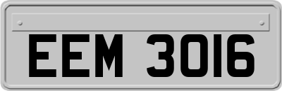 EEM3016