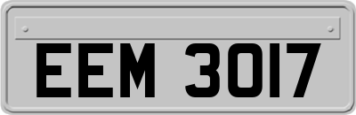 EEM3017
